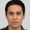 Expert web programmer with proficiency in JavaScript