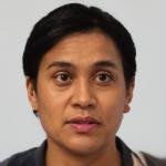 Expert Dotnetnuke programmer for custom module development