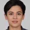 Web Project Analyst