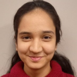 Expert Angular Developer with extensive experience in India