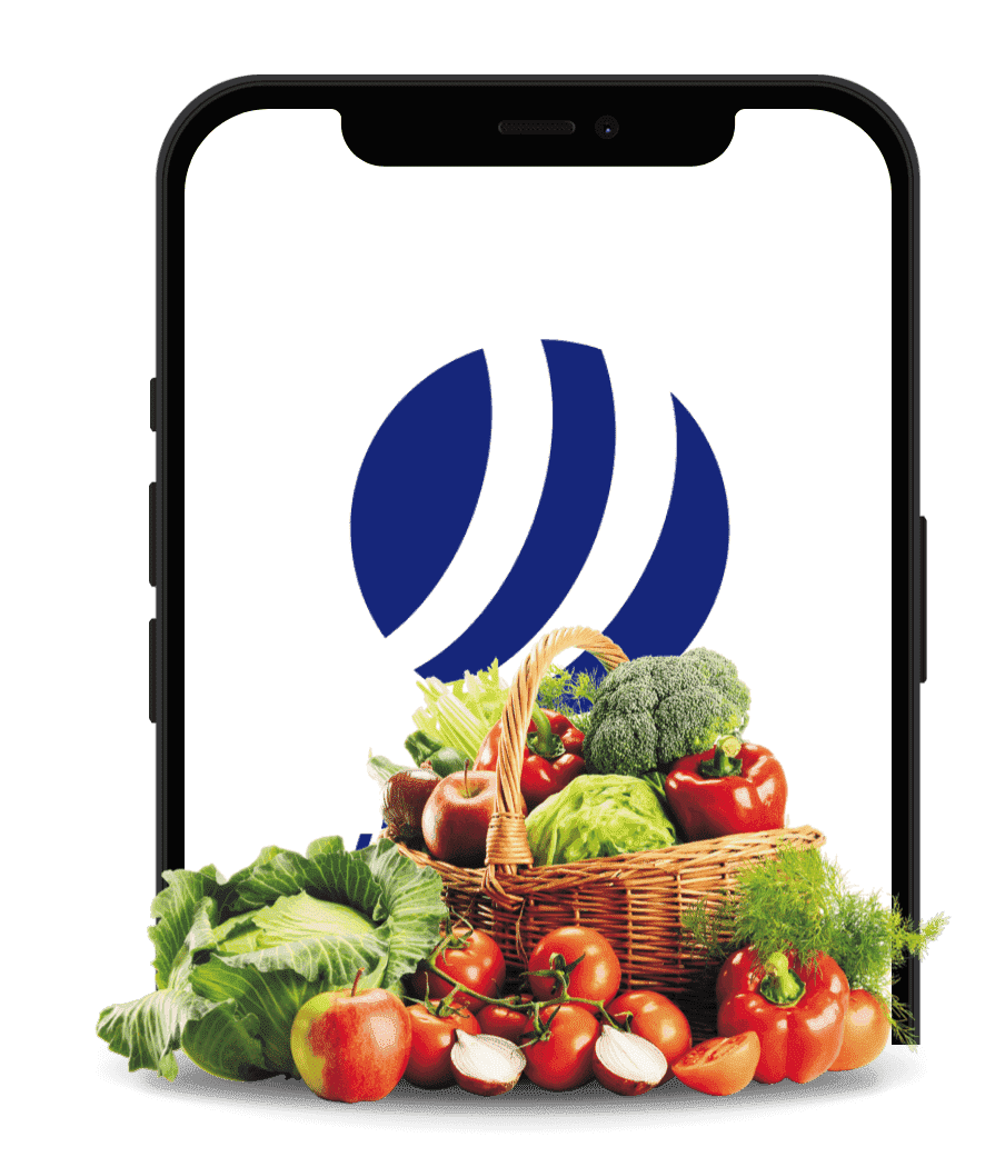 CISIN: Software Development Services