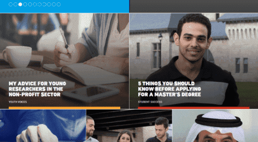 CISIN: Software Development Services