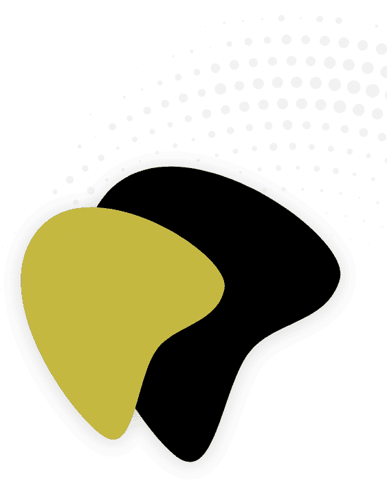 CISIN: Software Development Services