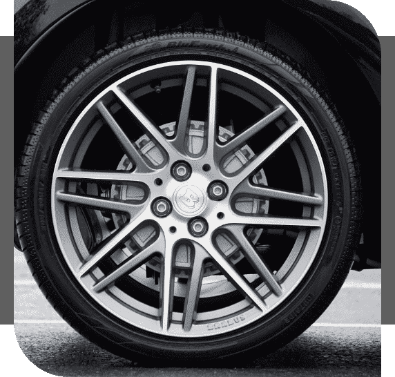 CISIN: Software Development Services