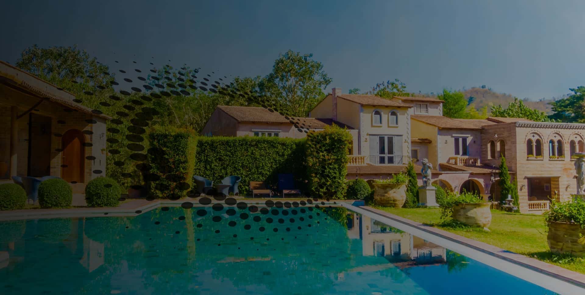 CISIN: Software Development Services