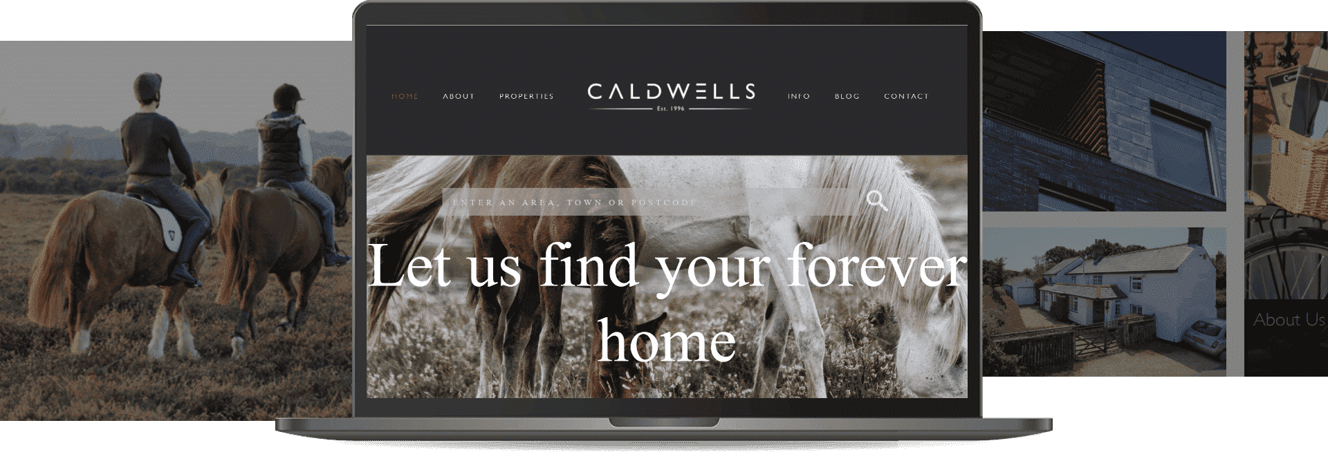 CISIN: Software Development Services