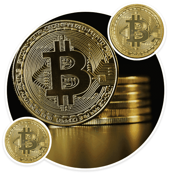 CISIN: Software Development Services