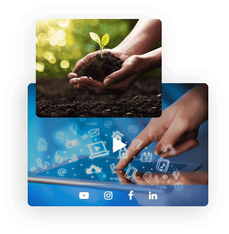 CISIN: Software Development Services