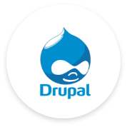 CISIN: Software Development Services