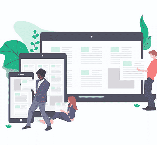 CISIN: Software Development Services