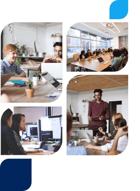 CISIN: Software Development Services