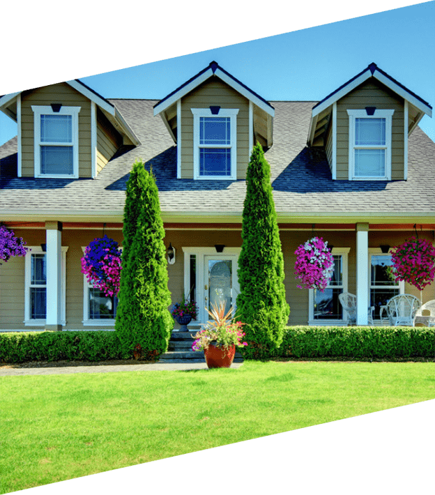 CISIN: Software Development Services