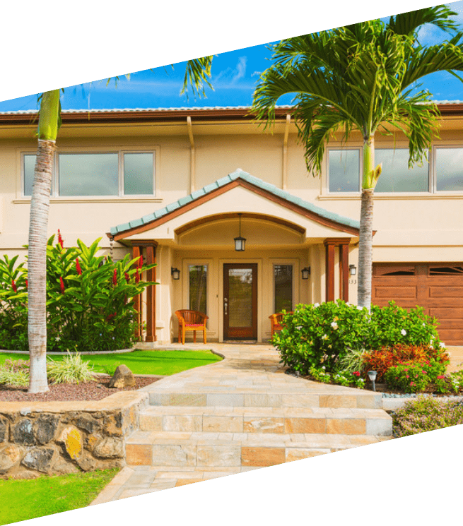 CISIN: Software Development Services