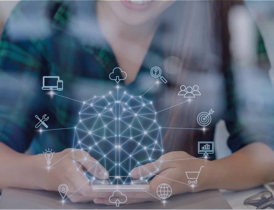 CISIN: Software Development Services