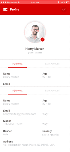 CISIN: Software Development Services