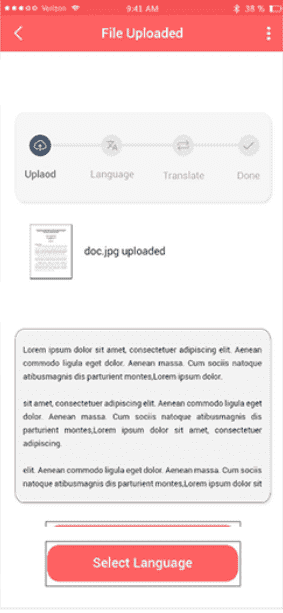 CISIN: Software Development Services