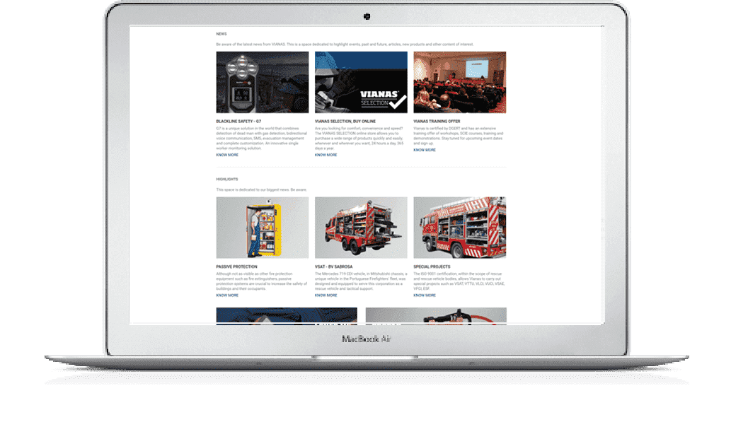 CISIN: Software Development Services