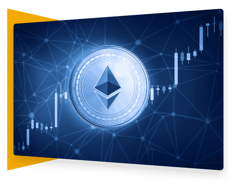 CISIN: Software Development Services