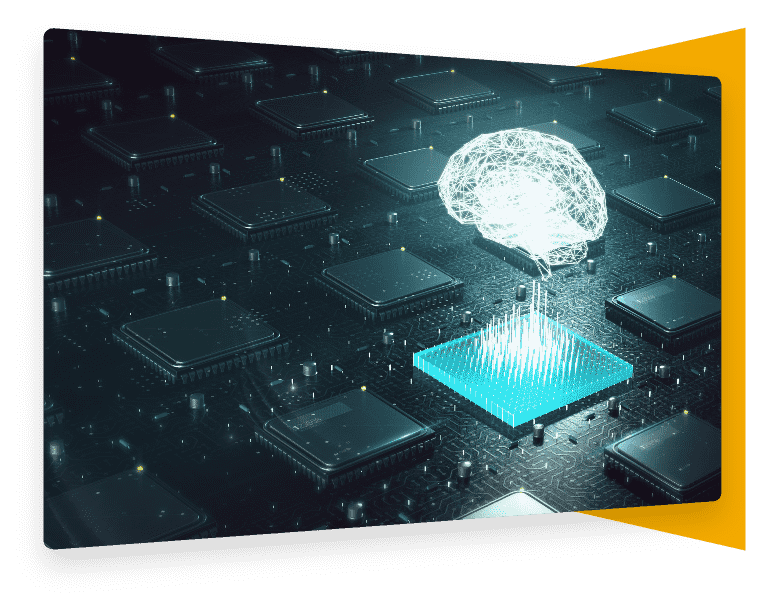 CISIN: Software Development Services