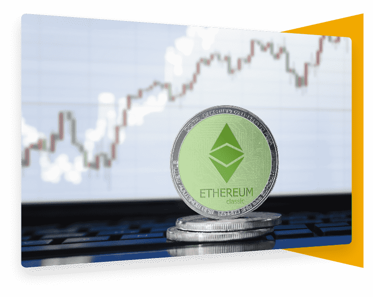 CISIN: Software Development Services