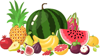 CISIN: Software Development Services