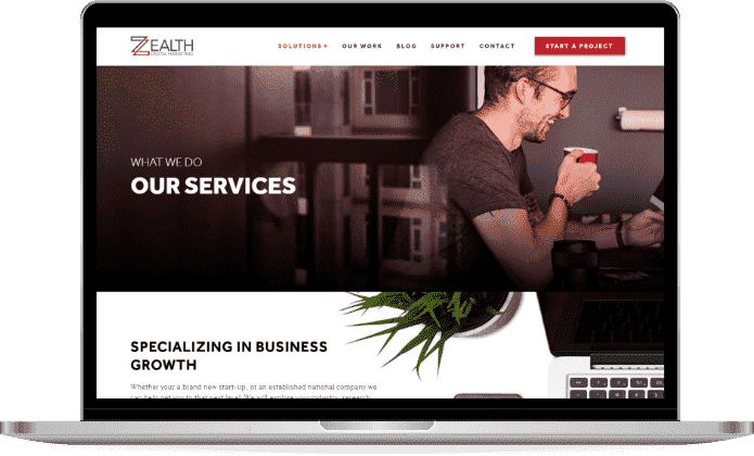 CISIN: Software Development Services